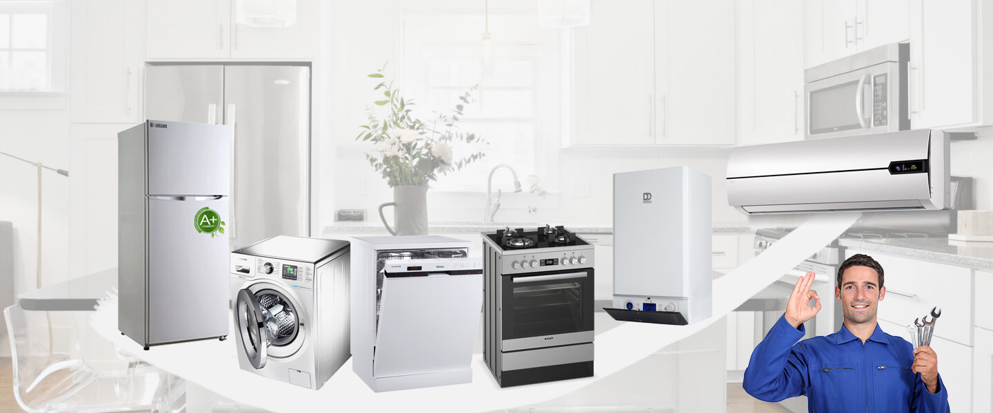 İzmir Finlux Servisi